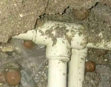 金湾测漏水多少钱