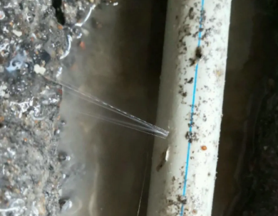 金湾测漏水哪家好