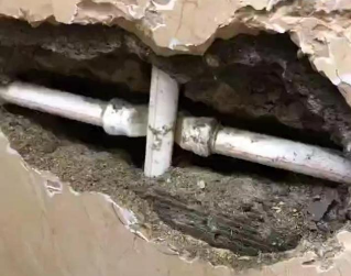 金湾测漏水哪家好