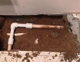 金湾测漏水哪家好