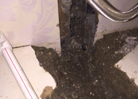 金湾卫生间测漏水哪家好