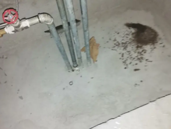 金湾卫生间测漏水价格明细