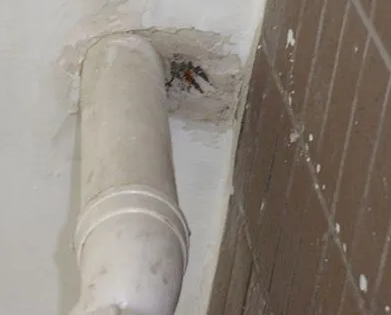 金湾漏水检测哪家好